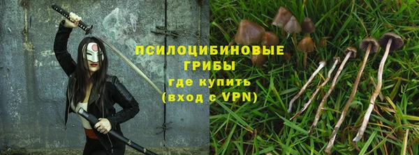 мескалин Ладушкин